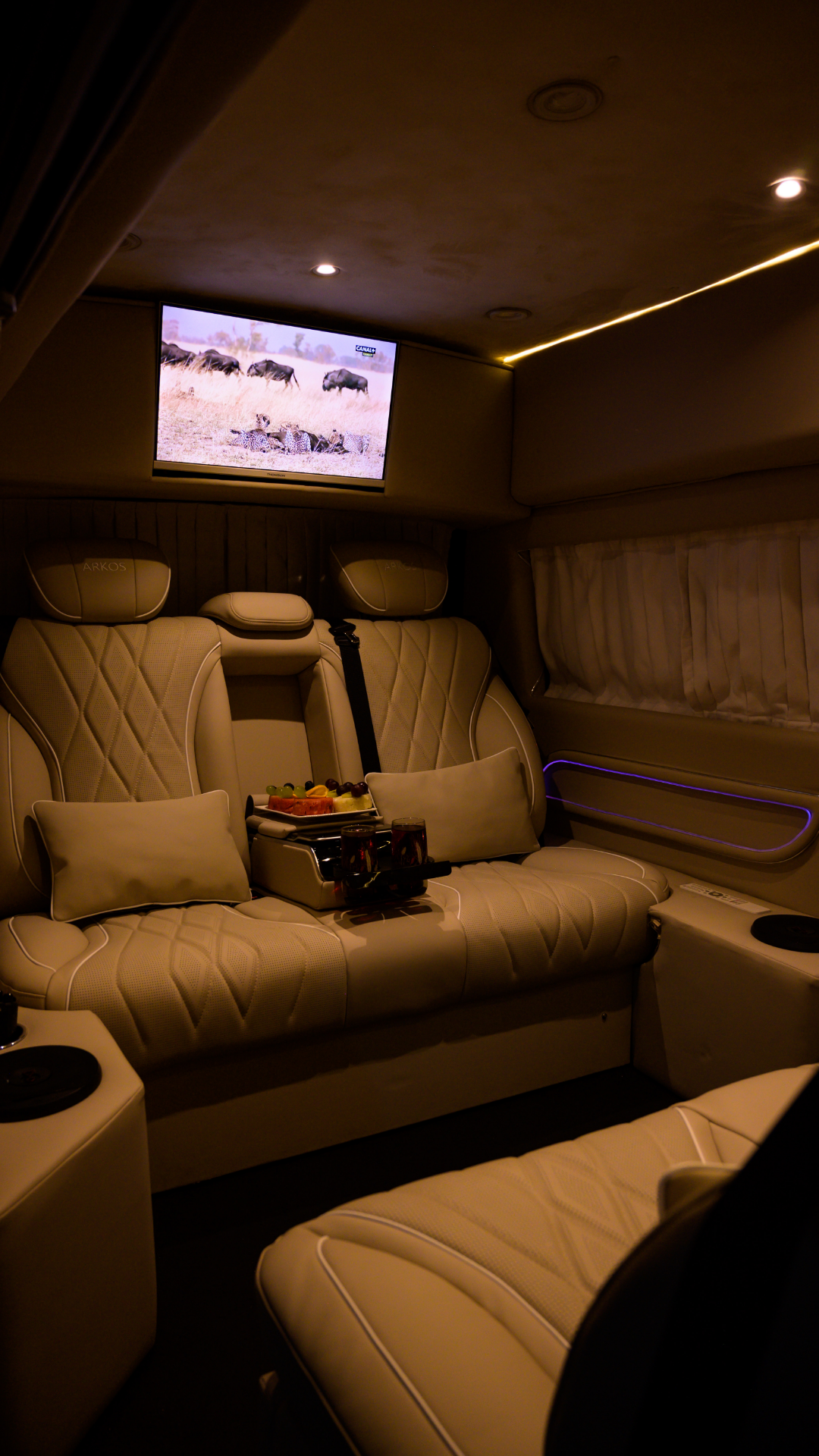 Van VIP – Mercedes Viano